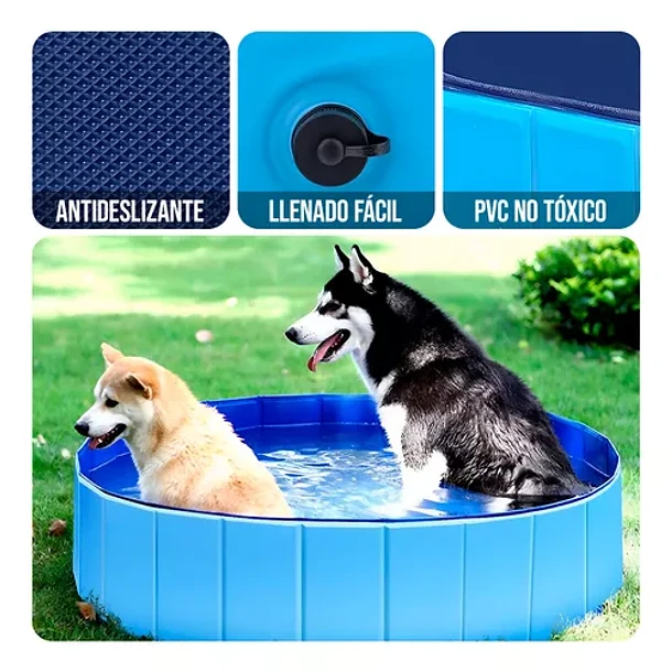 Piscina Plegable || Mascotas