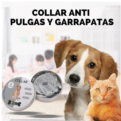 Collar Antipulgas y Garrapatas || Mascotas