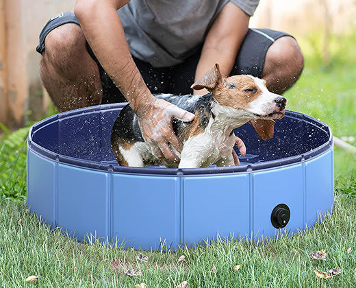 Piscina Plegable || Mascotas